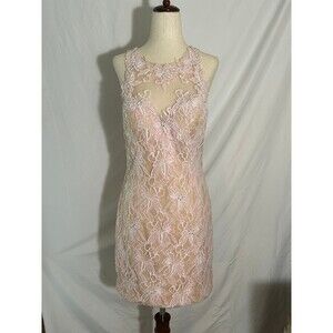 Pink Lace Splash Dress